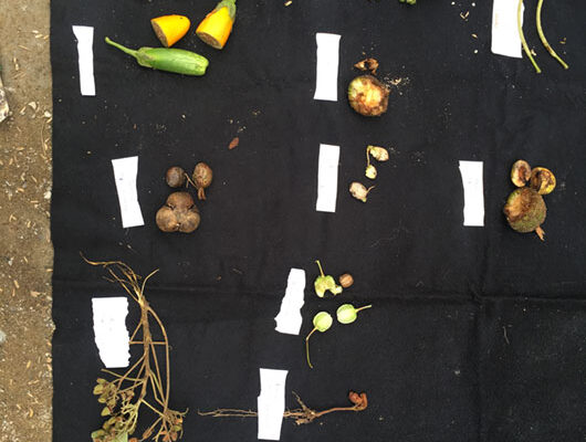 YLOVEday3-sharinf-session-by-pak-ari_1